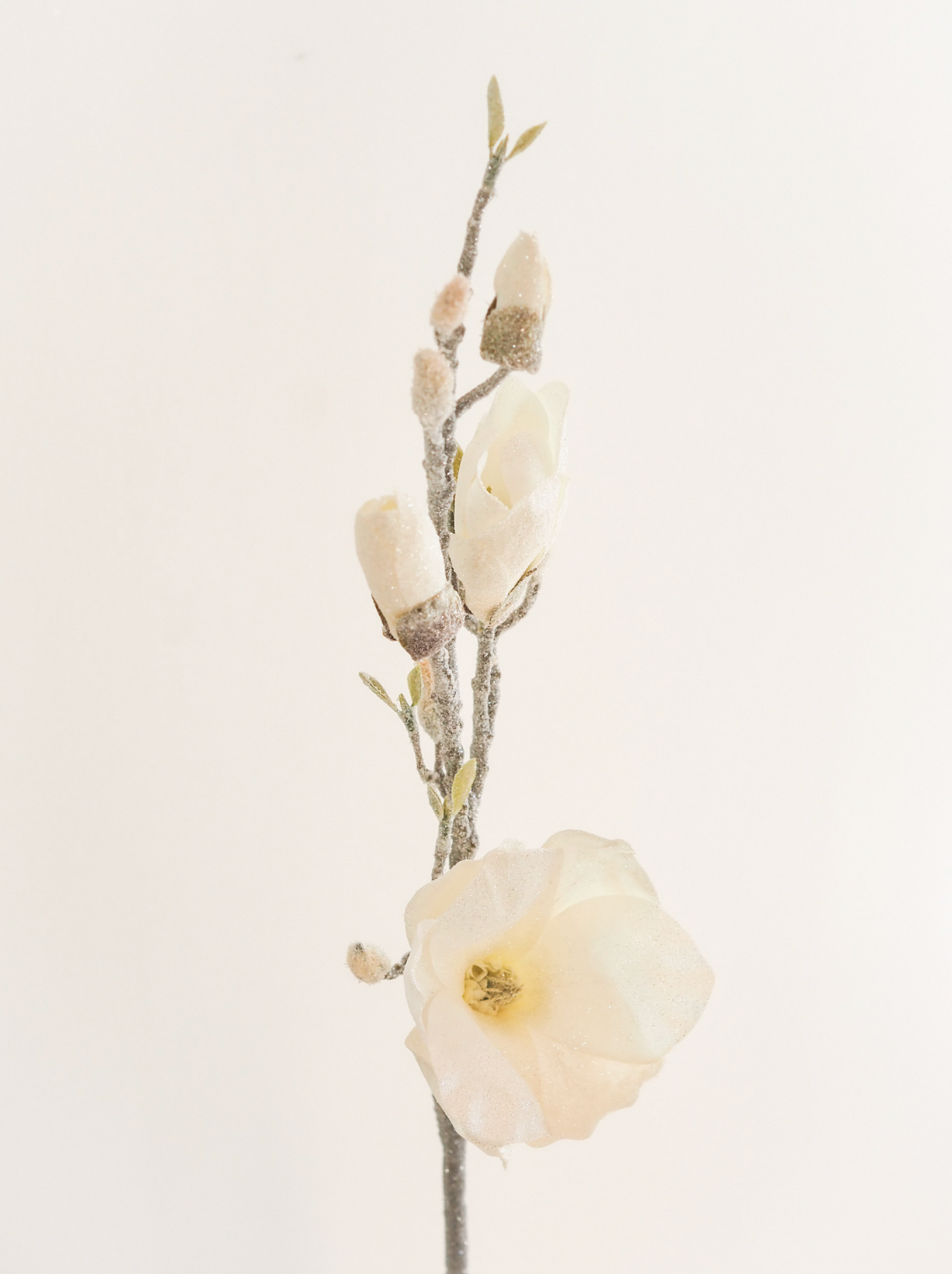 Iced Magnolia Stem - The Cross Decor & Design