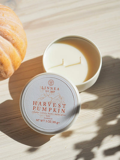 Harvest Pumpkin Petite Candle