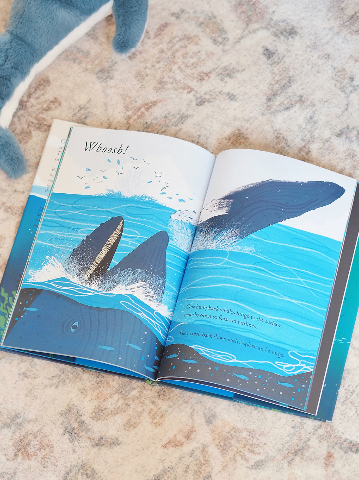 Over and Under the Waves Book - The Cross Decor & Design