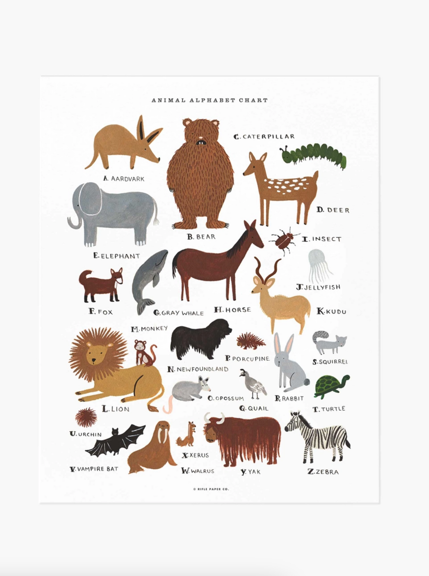 Animal Alphabet Chart Print | 11x14 - The Cross Decor & Design