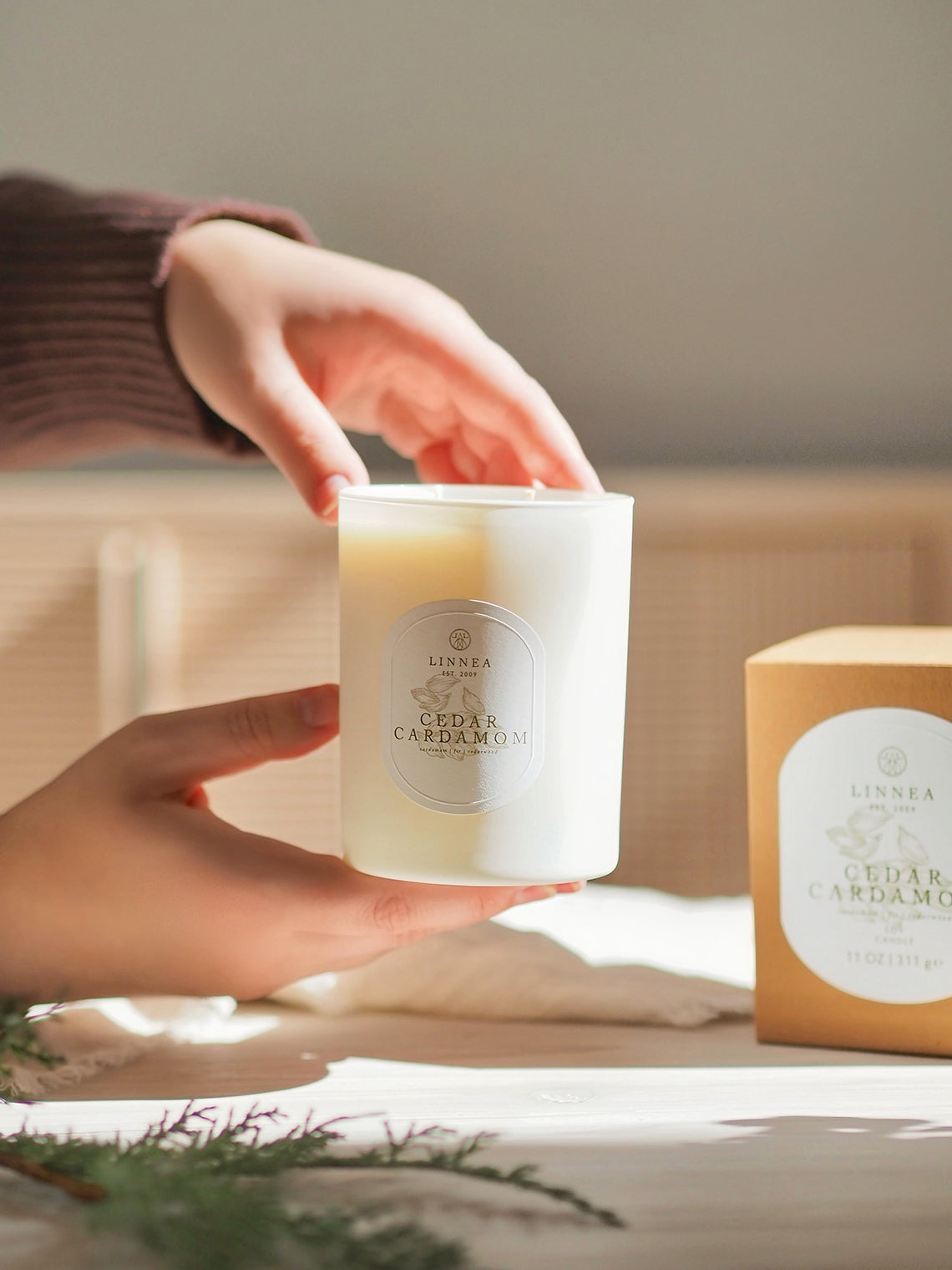 Cedar Cardamom 2 Wick Candle