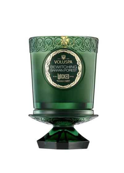 Bewitching Banyan Forest Boxed Candle