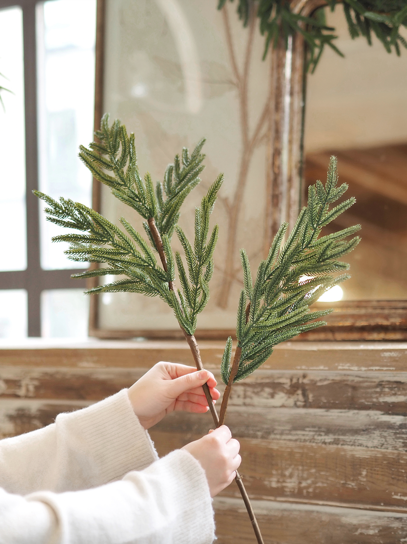 Norfolk Pine Stem - The Cross Decor & Design