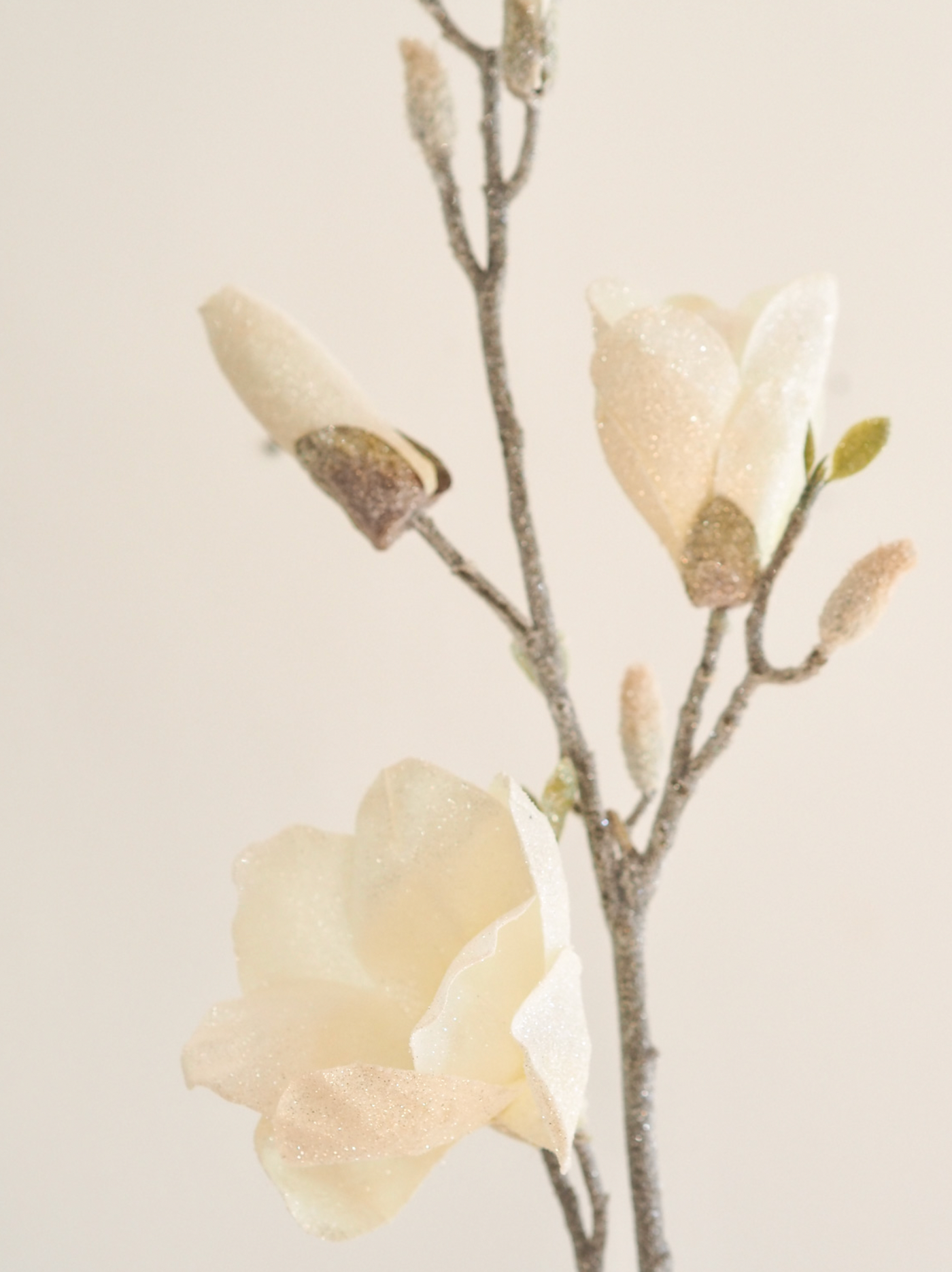 Iced Magnolia Stem - The Cross Decor & Design