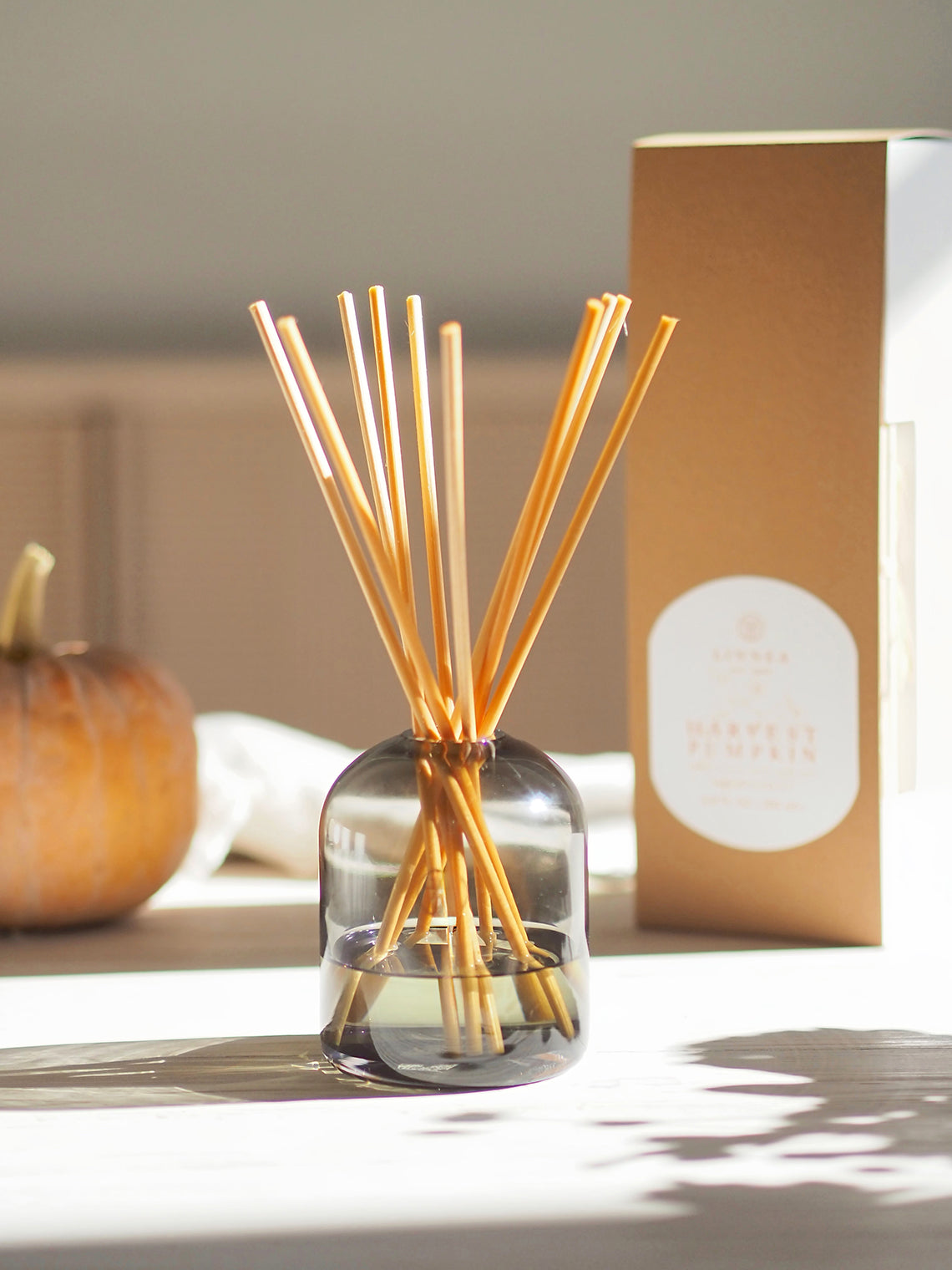 Harvest Pumpkin Reed Diffuser Kit