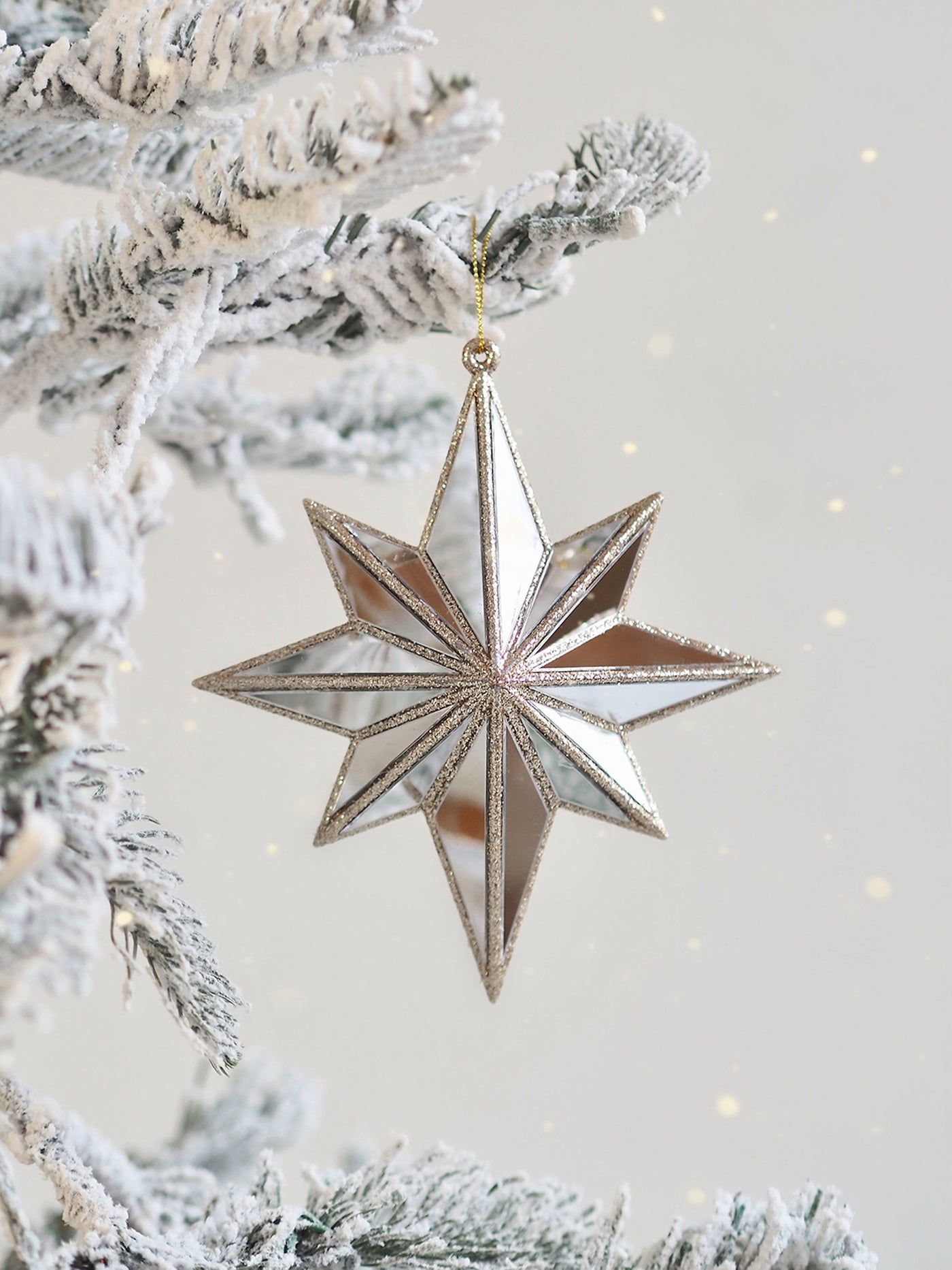 Mirrored Star Ornament