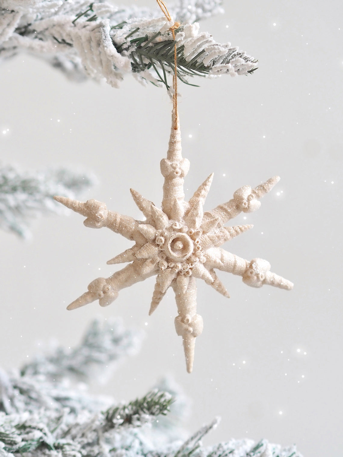 Shell Star Ornament