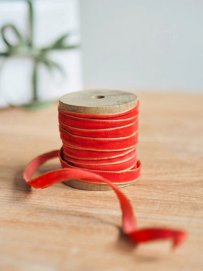 Velvet Trim Ribbons 10Y