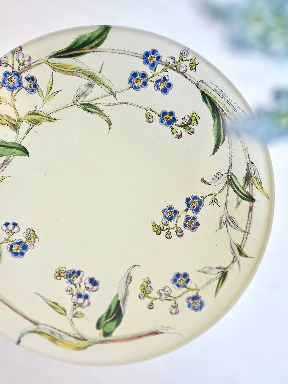 John Derian Company プレート JOHN DERIAN – FEELSEEN