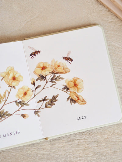 Our Little Library Vol. 3: Dinosaurs, Space, Tools, Bugs, and Sports Board Book Set