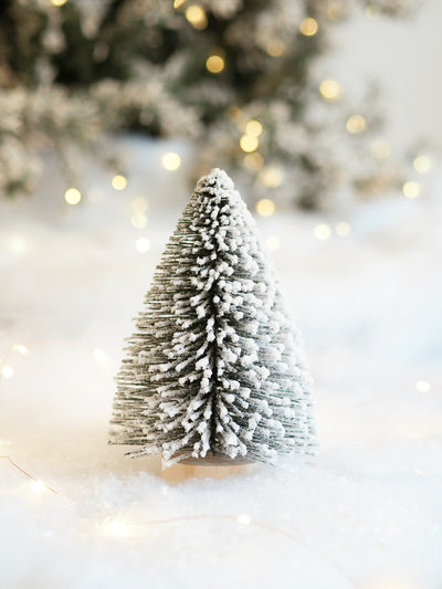 Pine Frosted Trees - The Cross Decor & Design