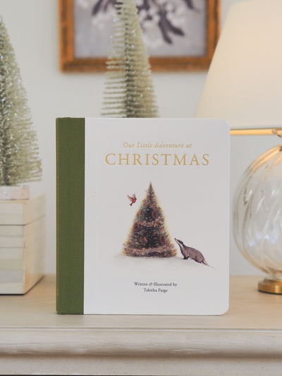 Our Little Adventure at Christmas