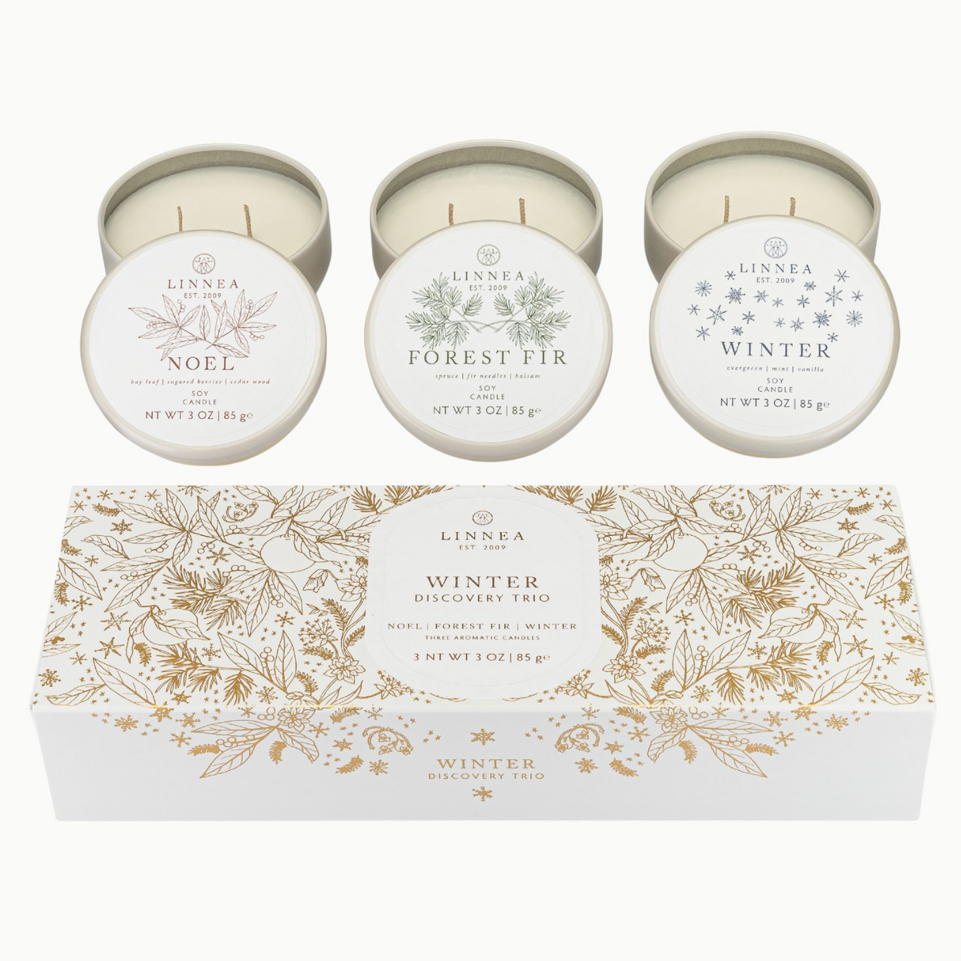 Winter Discovery Trio