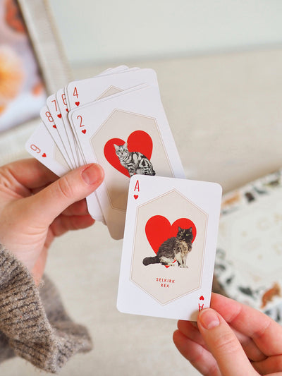 Cat & Dog Playing Cards Set