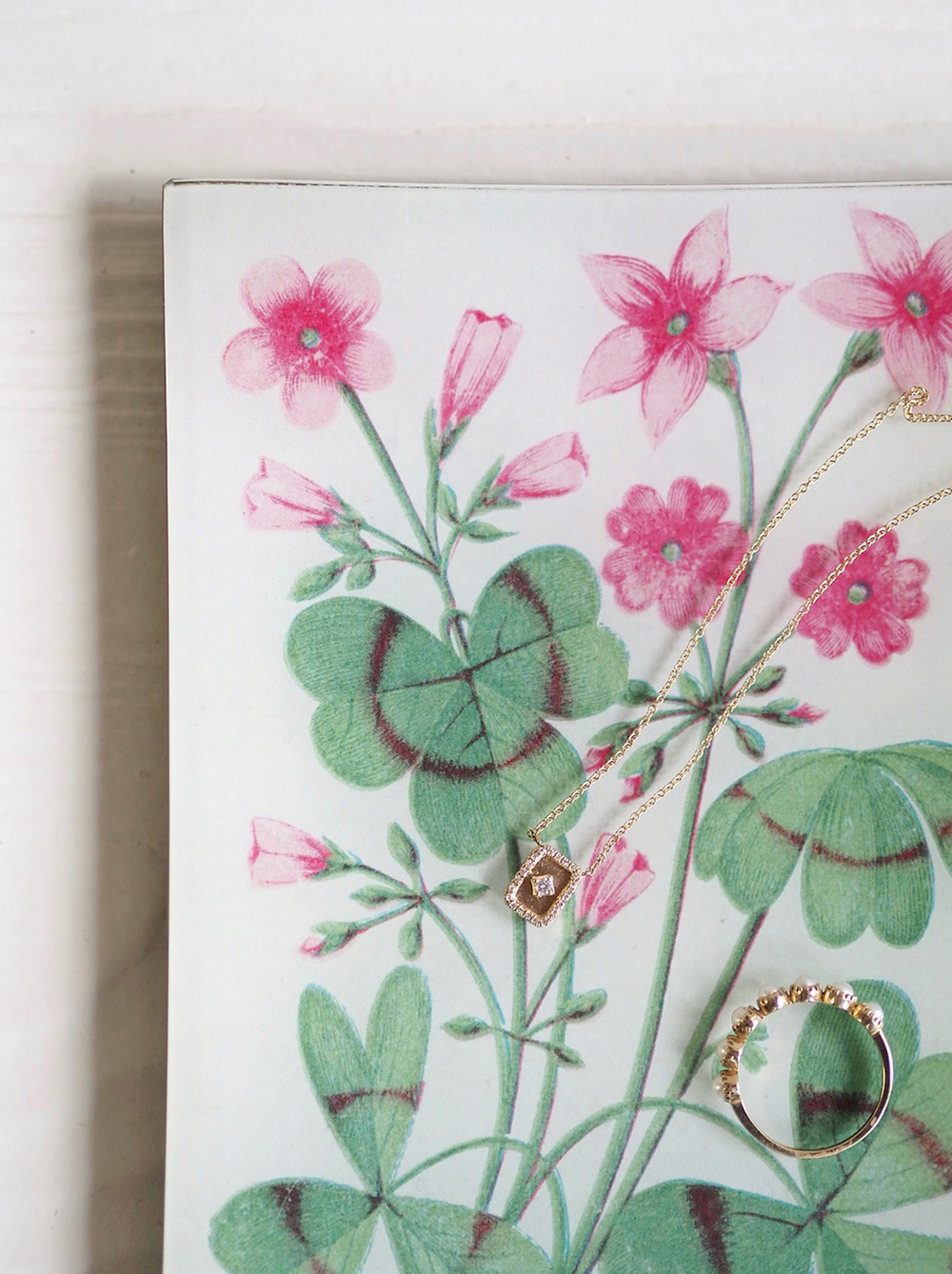 John Derian
