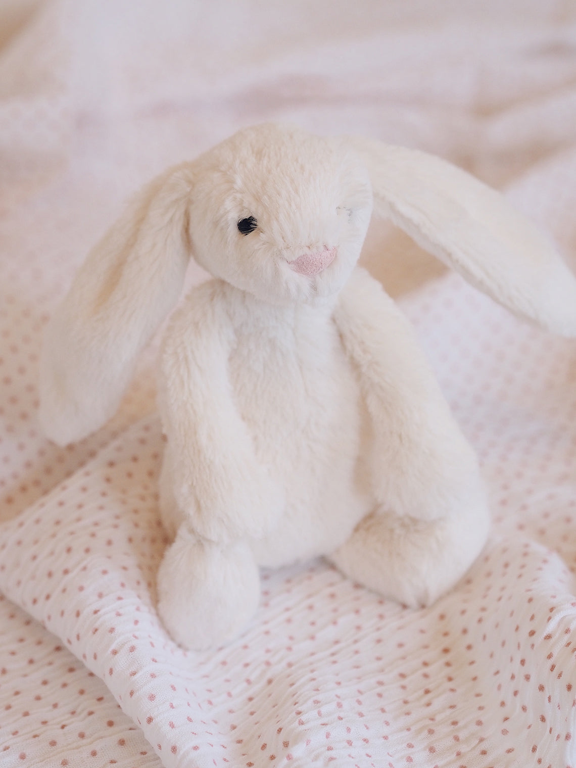 Bashful Cream Bunny - The Cross Decor & Design