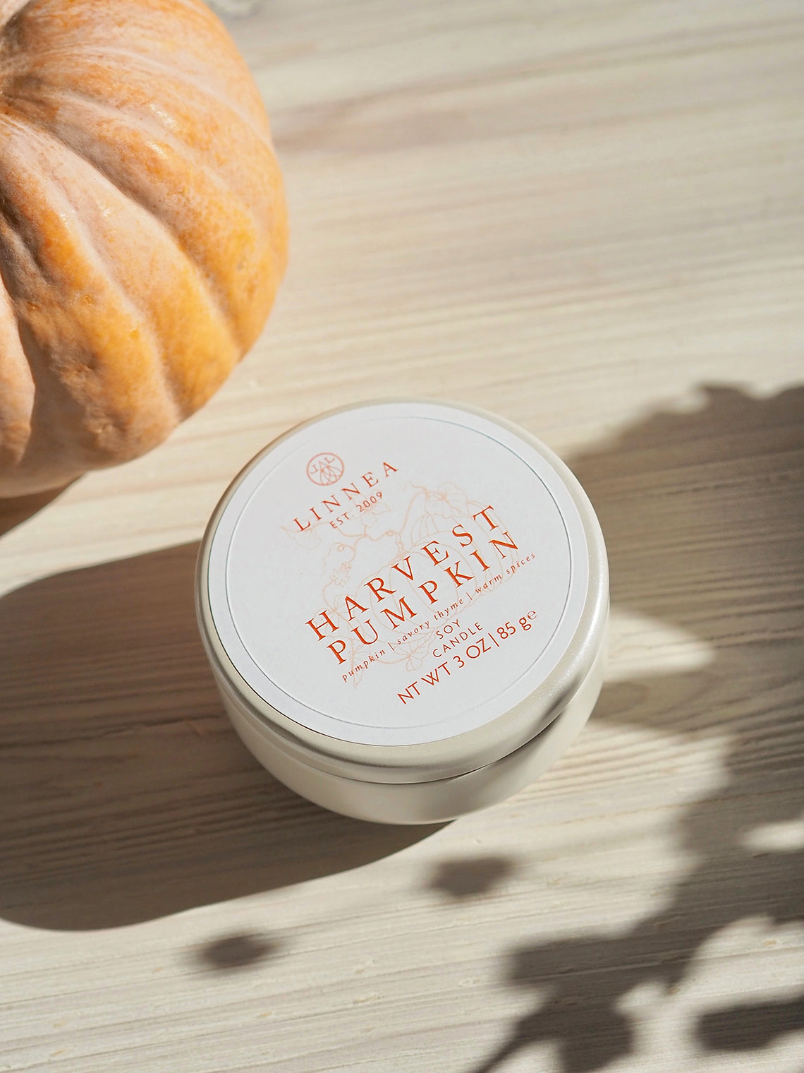 Harvest Pumpkin Petite Candle