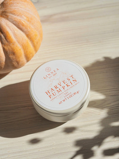 Harvest Pumpkin Petite Candle