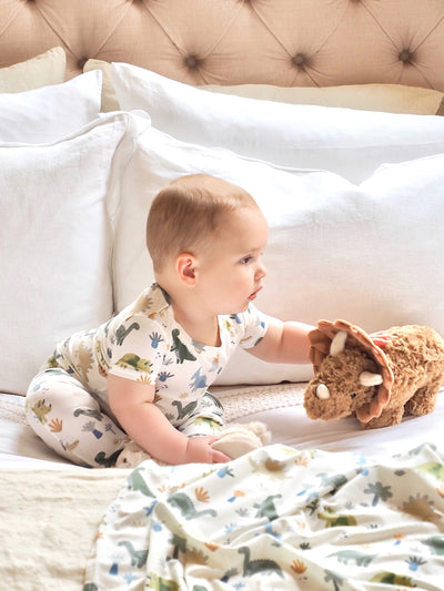 Soft Dinos Loungewear Set - The Cross Decor & Design