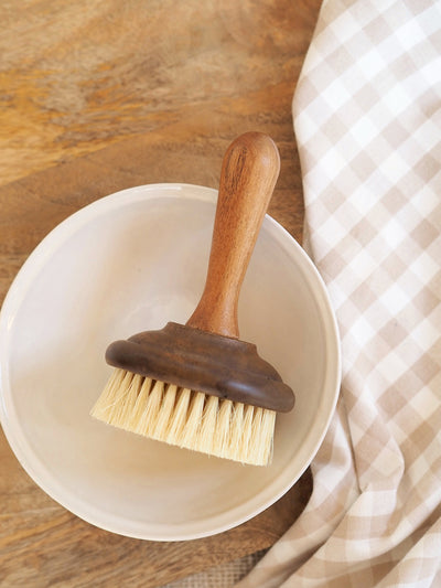 Dish Soap Brush