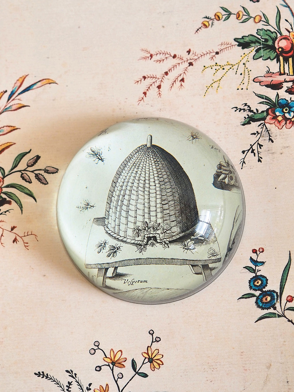 John Derian