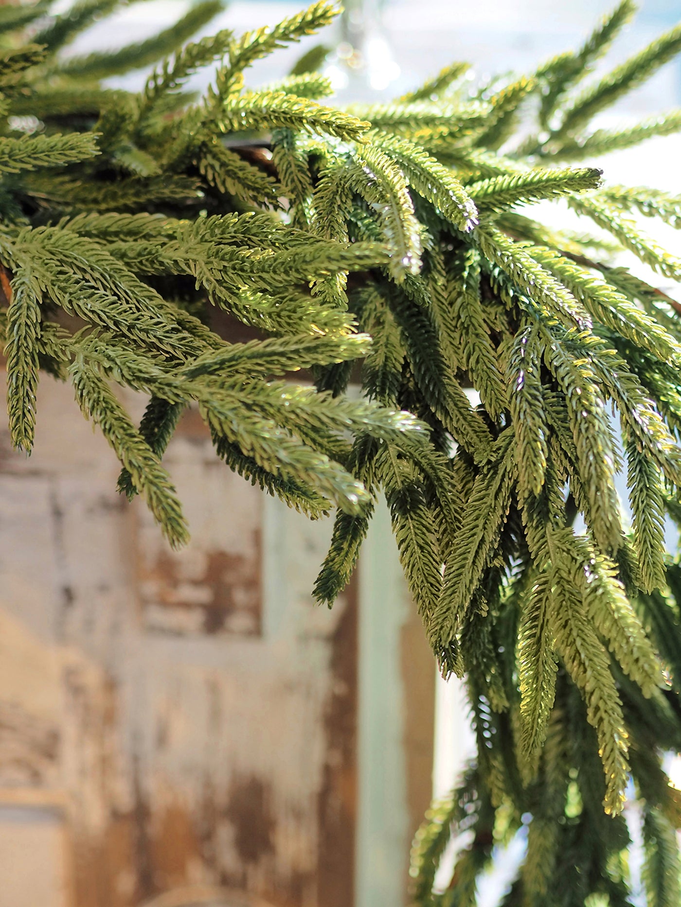 Norfolk Garland 6ft - The Cross Decor & Design