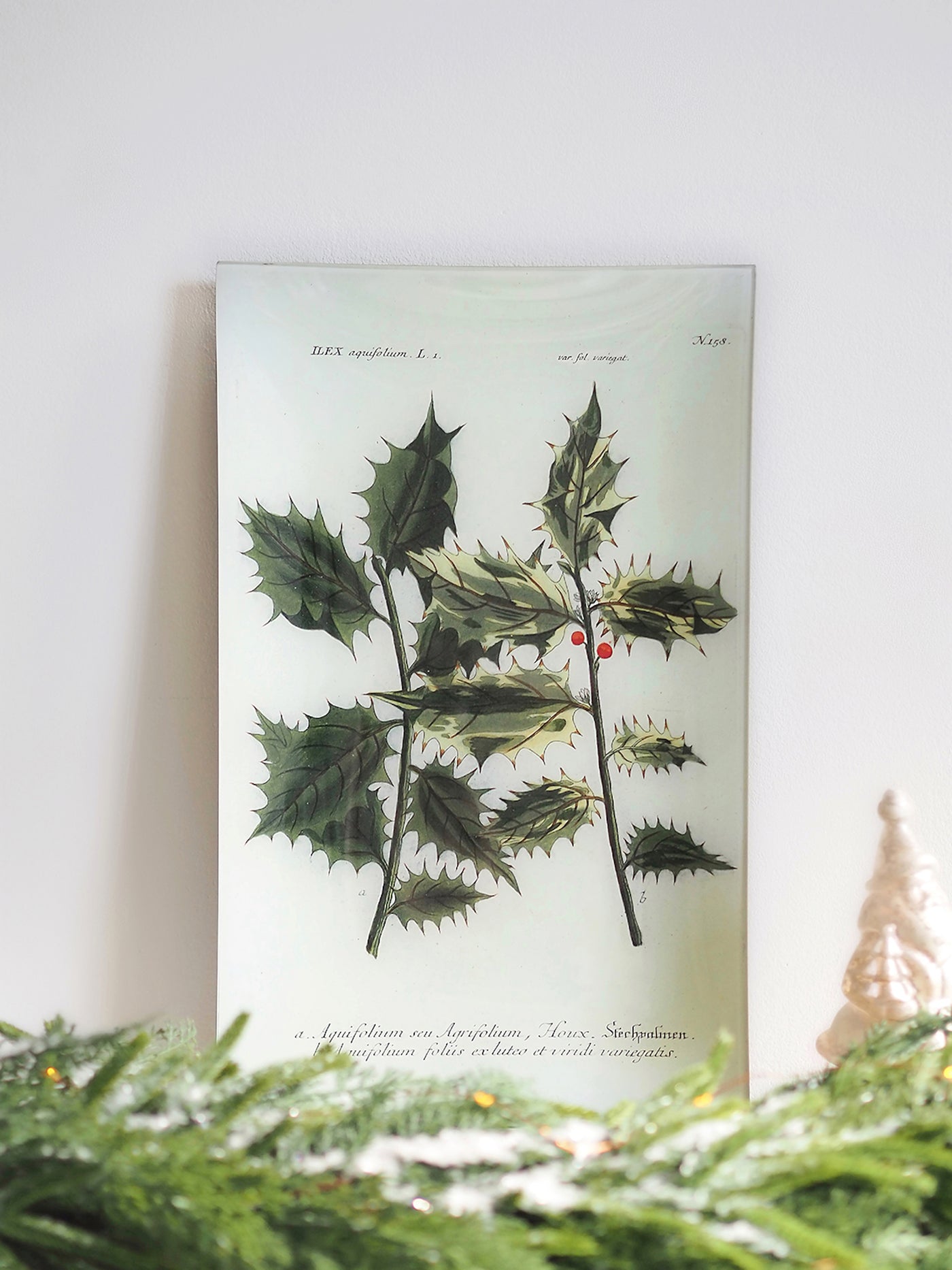 N. 158 Ilex Aquifolium Tray - The Cross Decor & Design