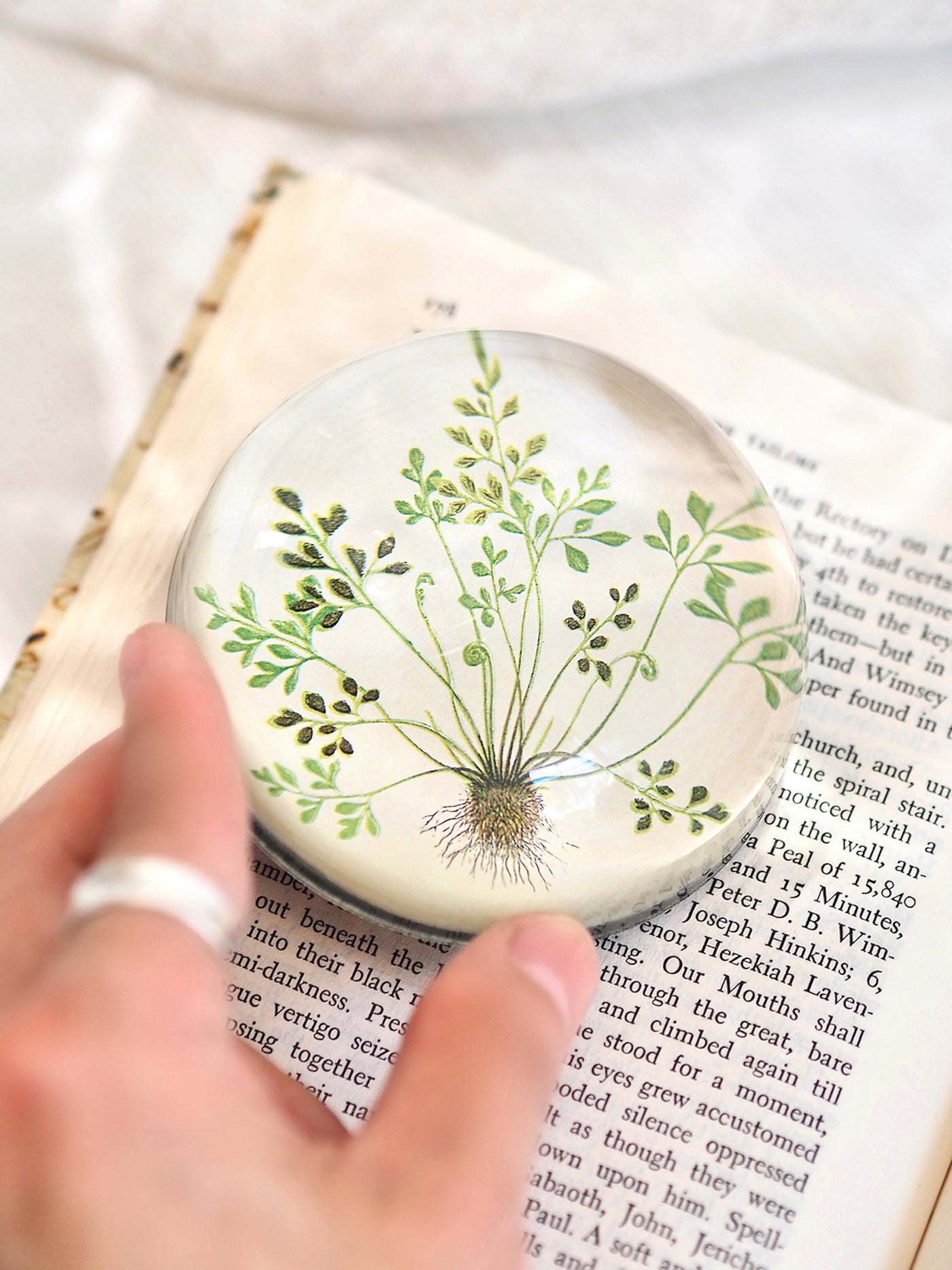 Buta-muraria Dome Paperweight - The Cross Decor & Design
