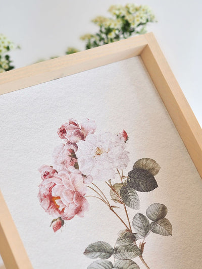 Watercolour Rose Framed Print 12x9" - The Cross Decor & Design