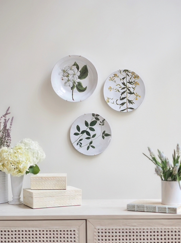 Astier de Villatte | John Derian Jasminum Plate