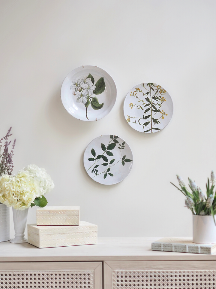 Astier de Villatte | John Derian Jasminum Plate