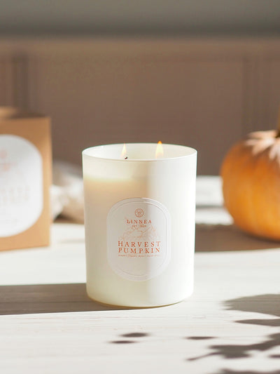 Harvest Pumpkin 2 Wick Candle