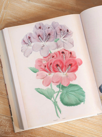 John Derian Picture Book II - The Cross Decor & Design