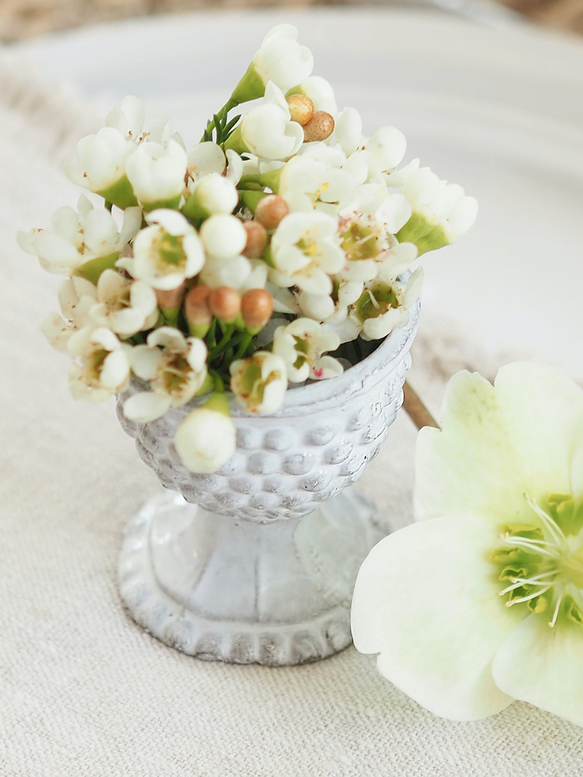 Adelaide Egg Cup - The Cross Decor & Design