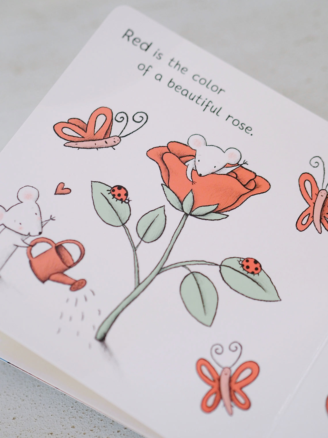 Happiness is a Rainbow Book - The Cross Decor & Design