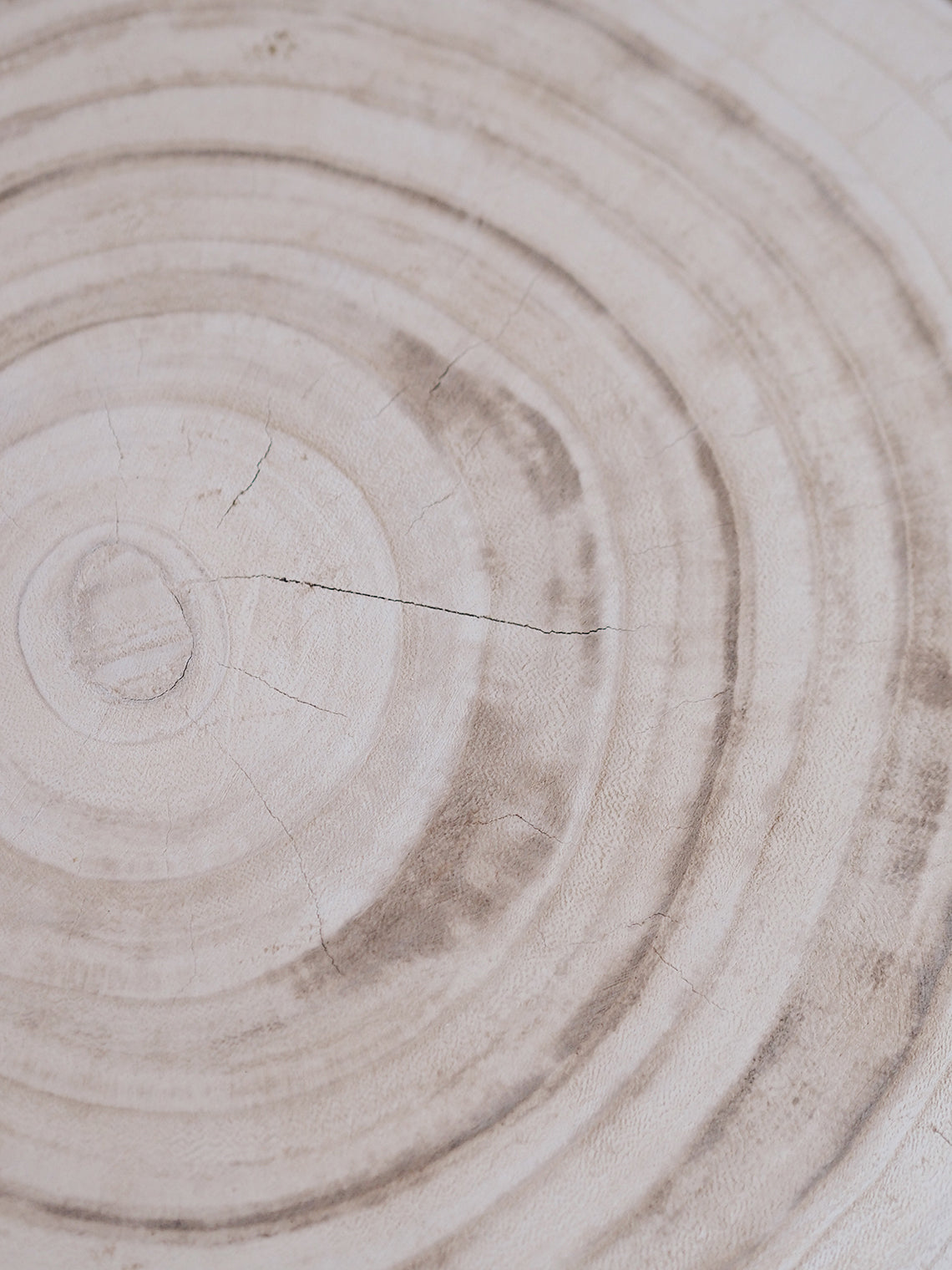 The Beachcomber Stump - The Cross Decor & Design