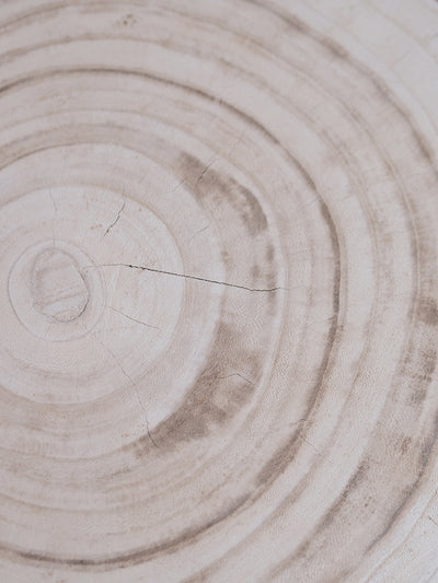 The Beachcomber Stump - The Cross Decor & Design